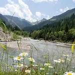Hochalmbahnen 7w1, Fichte, Nahe Gondel, Hunde Willkommen Rauris