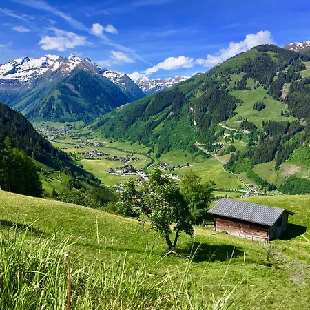 Hochalmbahnen 7w1, Fichte, Nahe Gondel, Hunde Willkommen Rauris